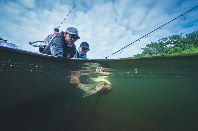 G. Loomis Introduces the NRX+ INSHORE for Ultimate Saltwater Pursuits
