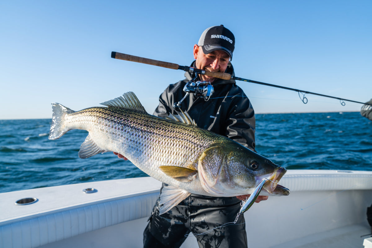 Chasing the Fall Run: Three Shimano Setups for the Northeast's Best Fishing Season