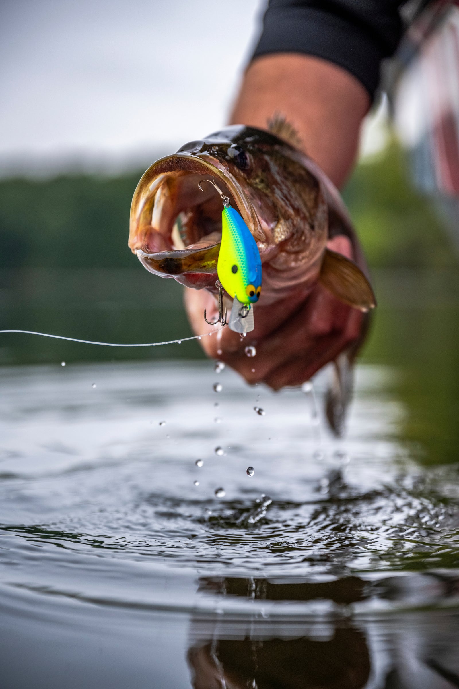 beautiful fishing lures Nomad Tackle Hardbait Essentials Bundle This Bundle has a selection of baits that include the famous Patented Autotune technology in the Swimtrex lipless crank that swims on the fall and the Swimtrex Max with max vibration Jackall Lures Shimano North