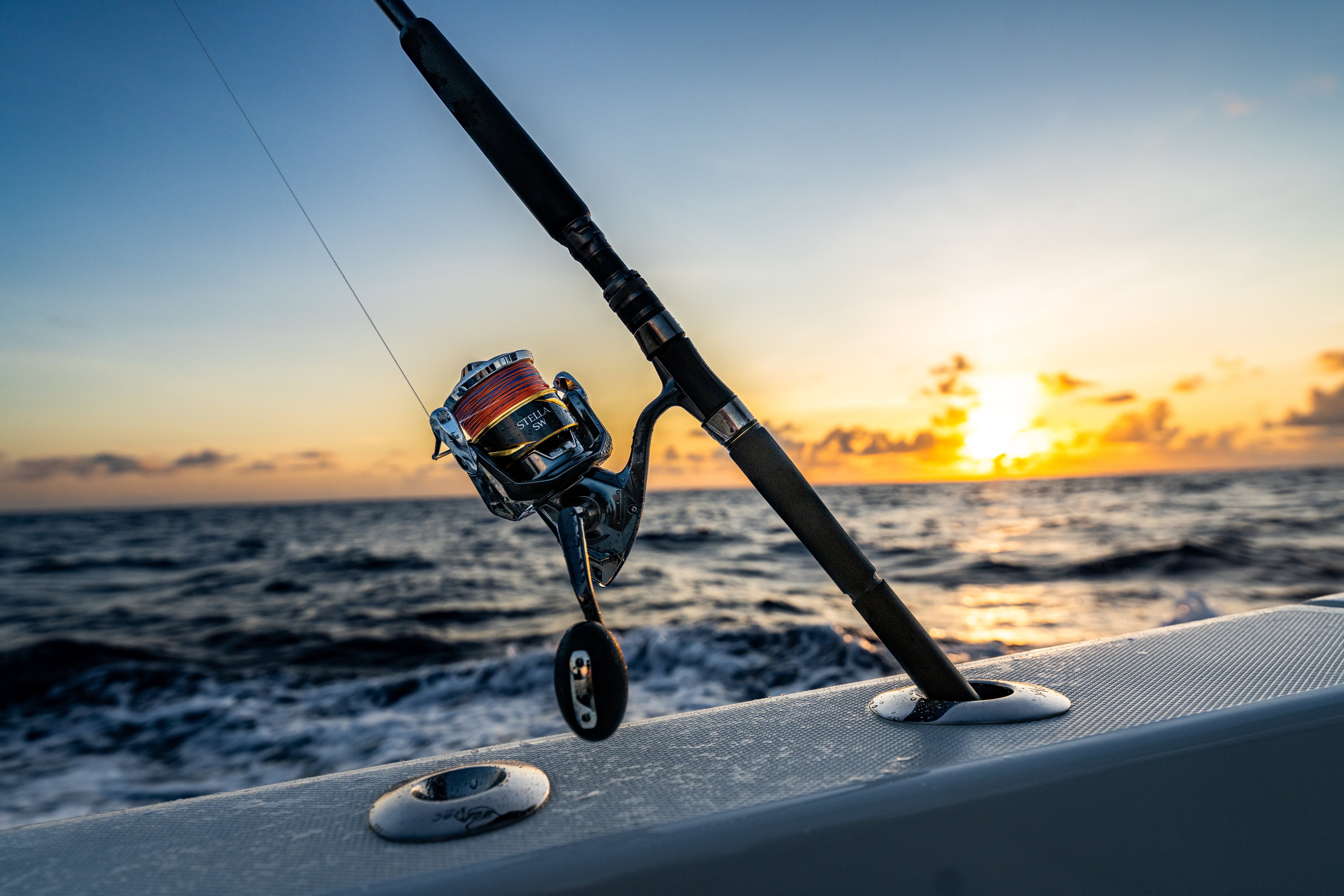 Spinning Reels – Page 2 – Shimano North America Fishing