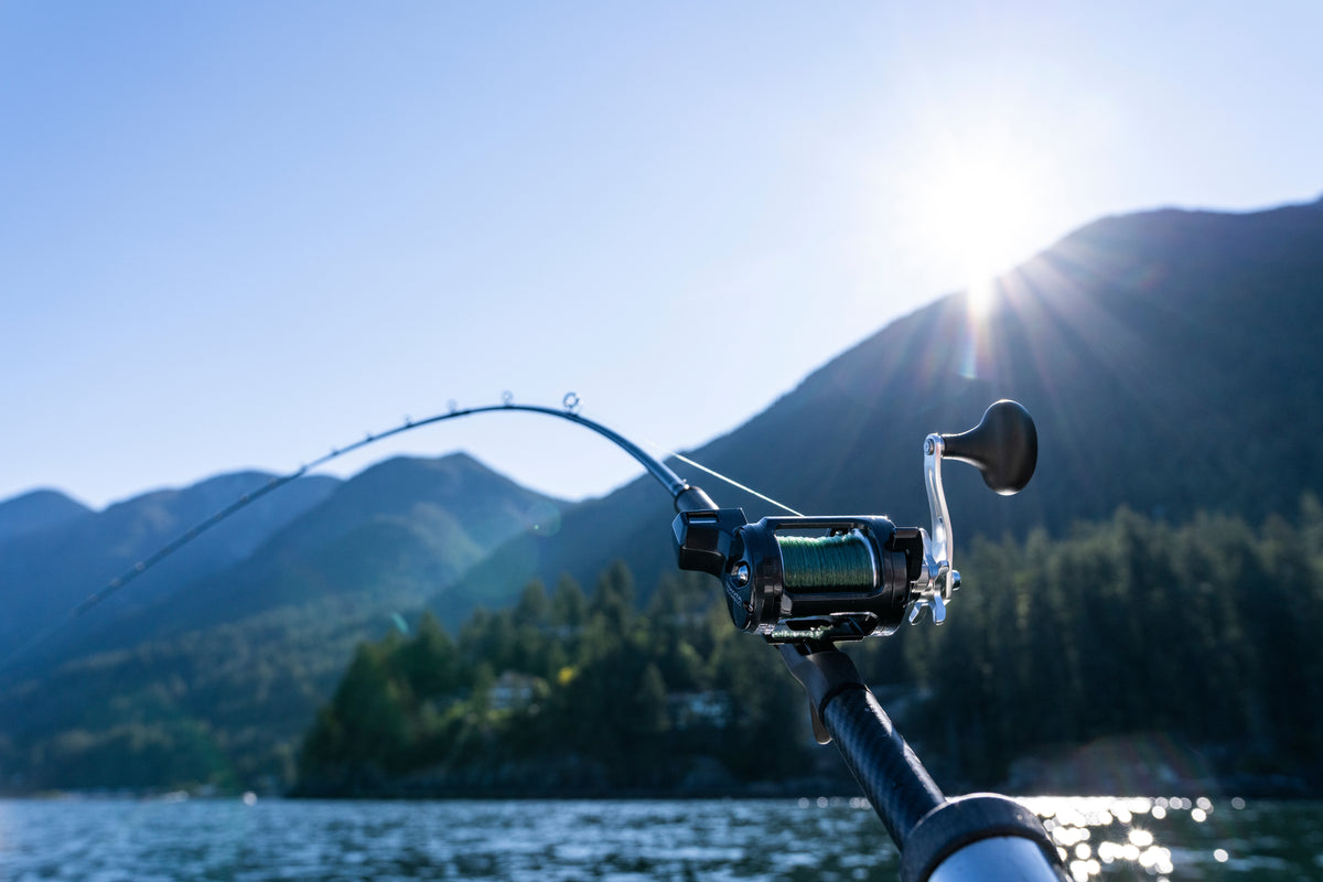 Freshwater Rods – Shimano North America Fishing
