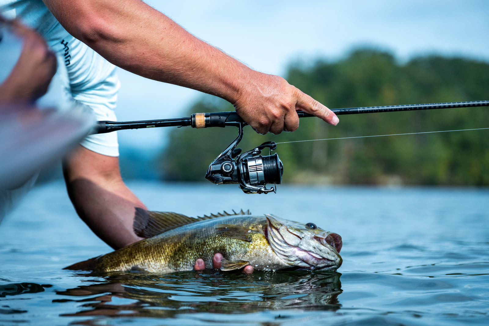 fresh water shimano fishing rods TESIS80XHC Talavera Inshore Spinning Rod Comfortable cork grips and a secure reel seat complete a rod designed for anglers who want dependable inshore performance without unnecessary weight. Shimano - Poison Adrena Freshwater