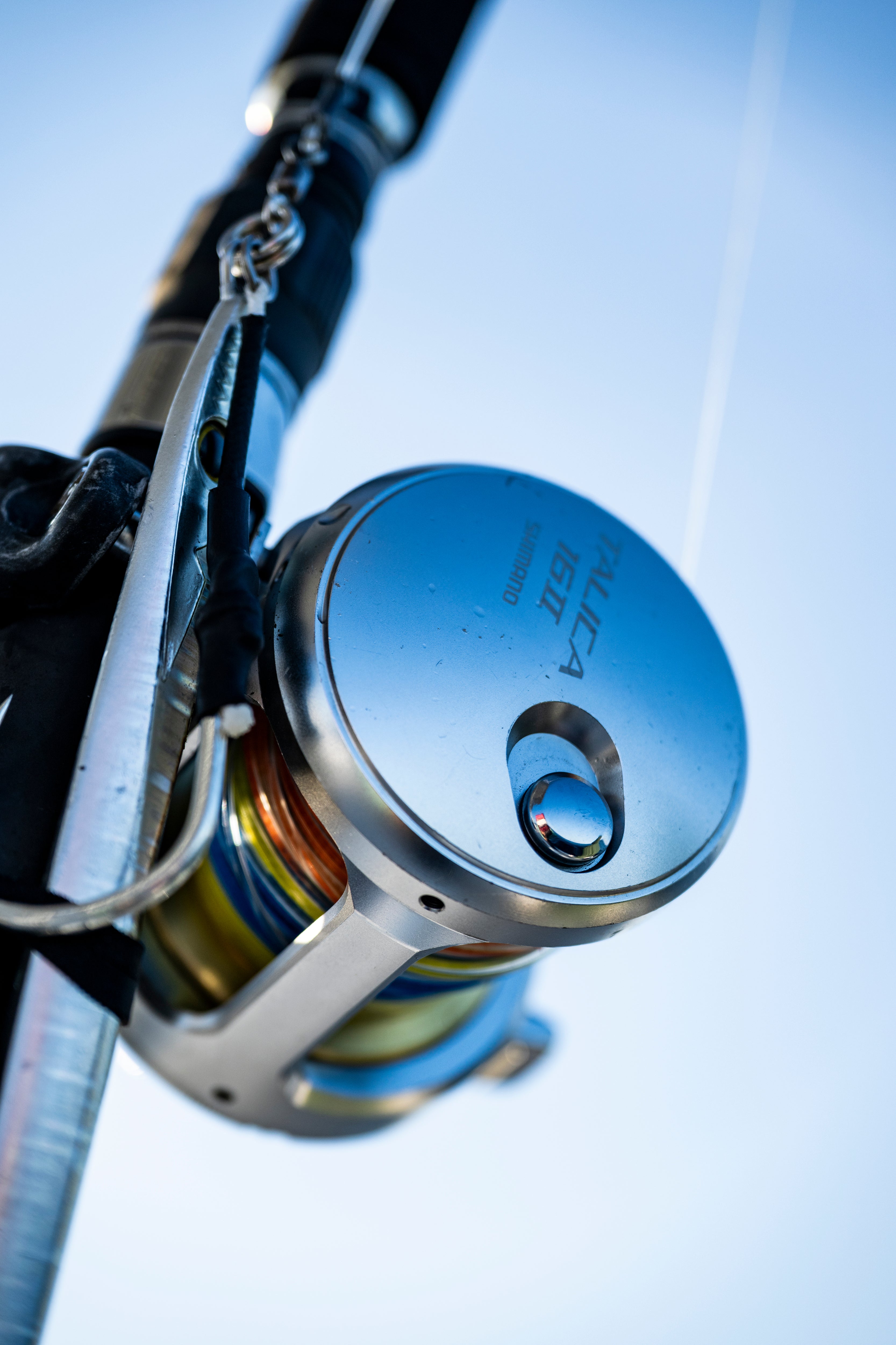 Reels – Page 3 – Shimano North America Fishing