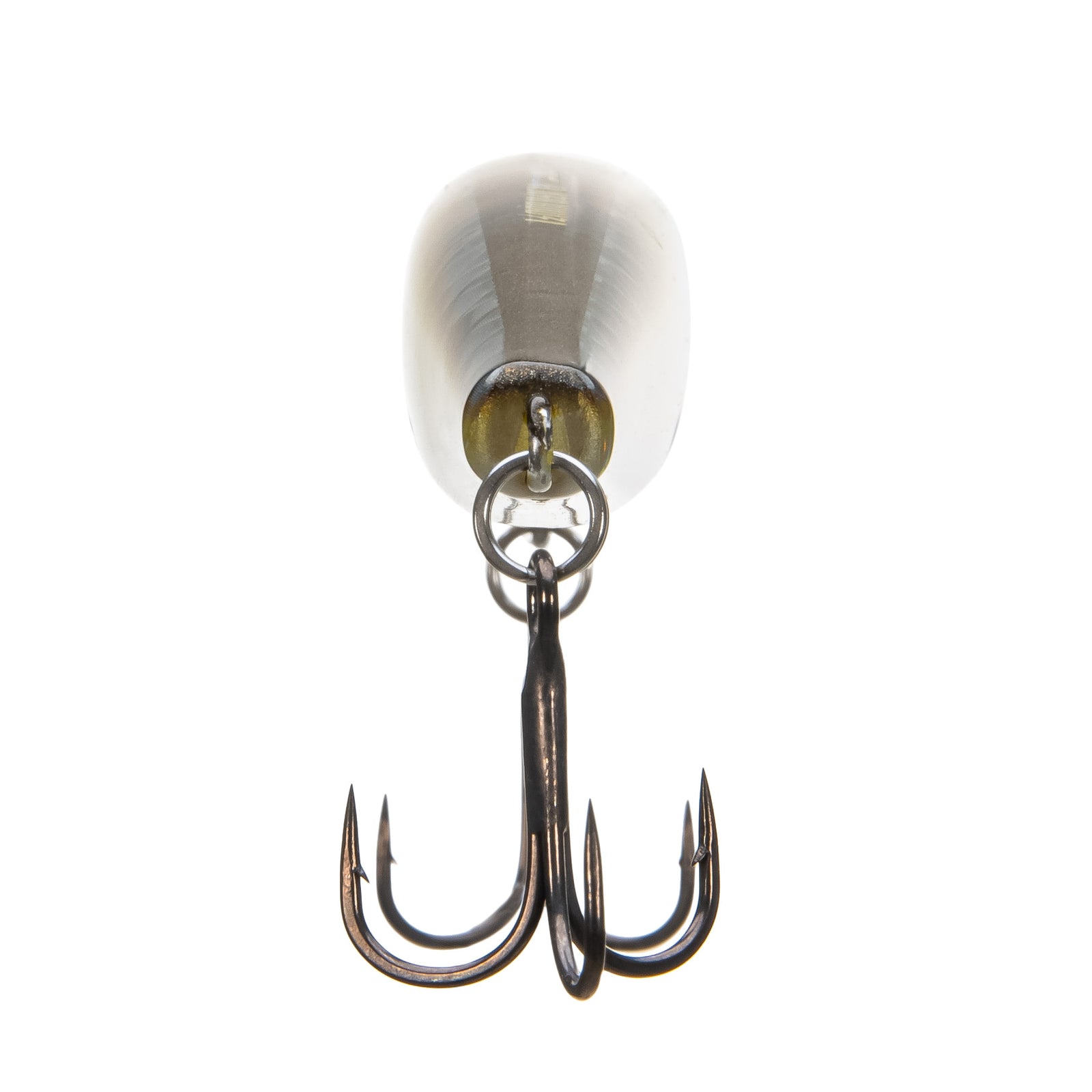 WORLD DIVER FLASH BOOST