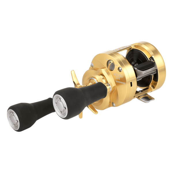 threequarter image of sku CTCNQMD301XGLHB