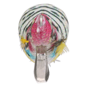 back image of sku SEPCL25FBPC