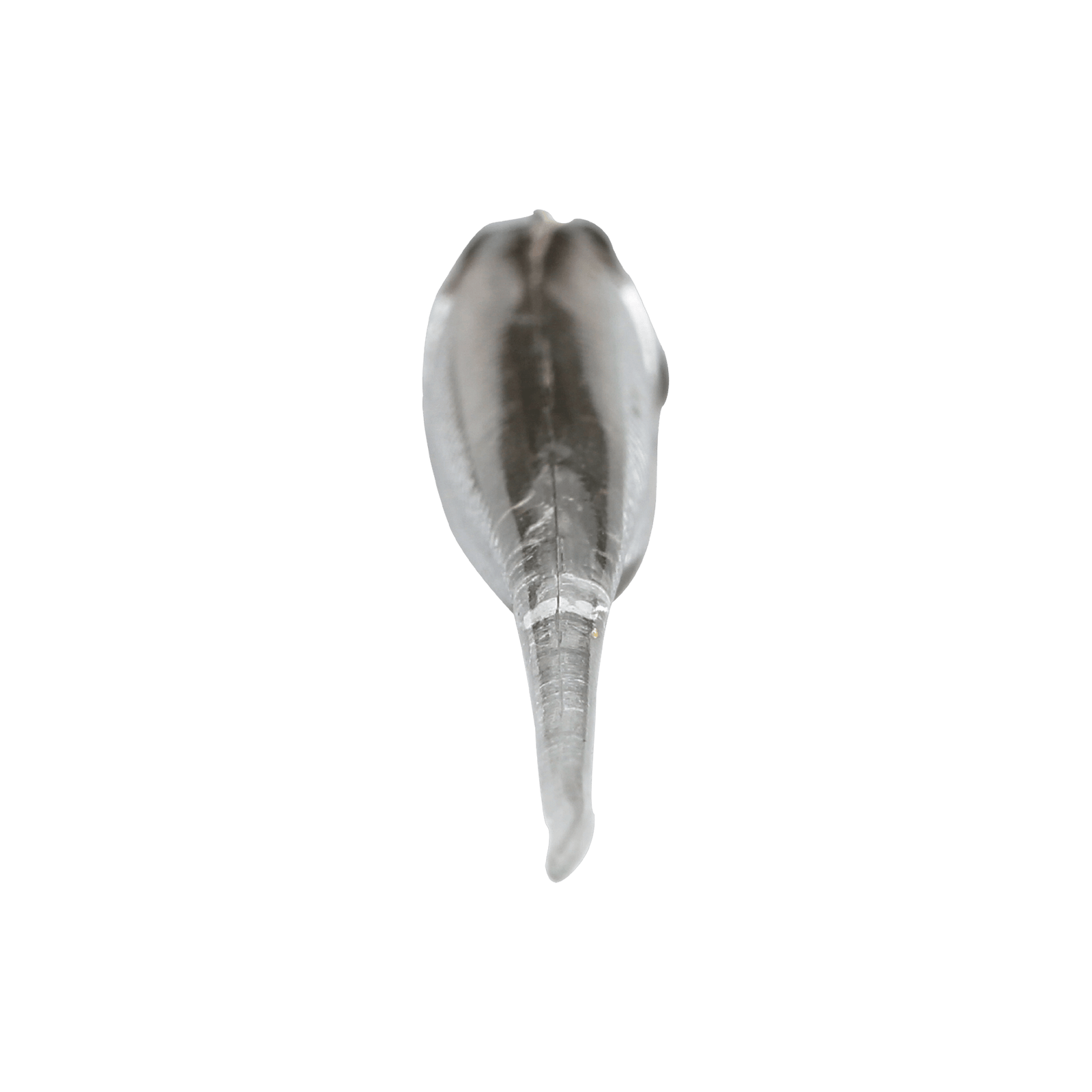 back image of sku JDRFRY4-SILS