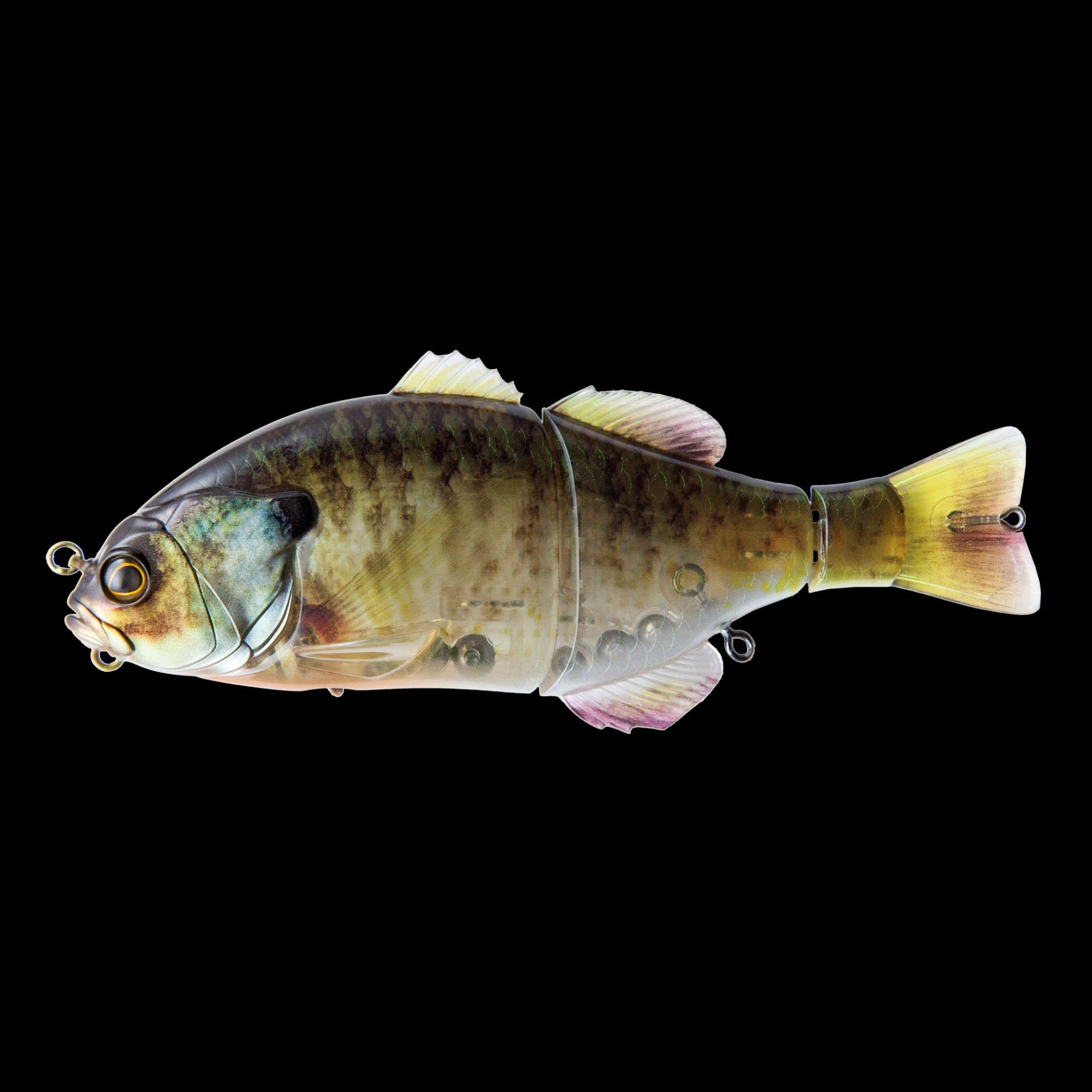 Jackall – Shimano North America Fishing