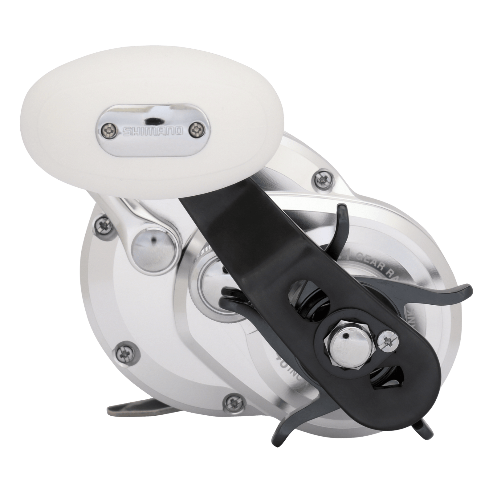 right image of sku TN20A