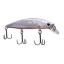 image of product WORLD MINNOW FLASH BOOST