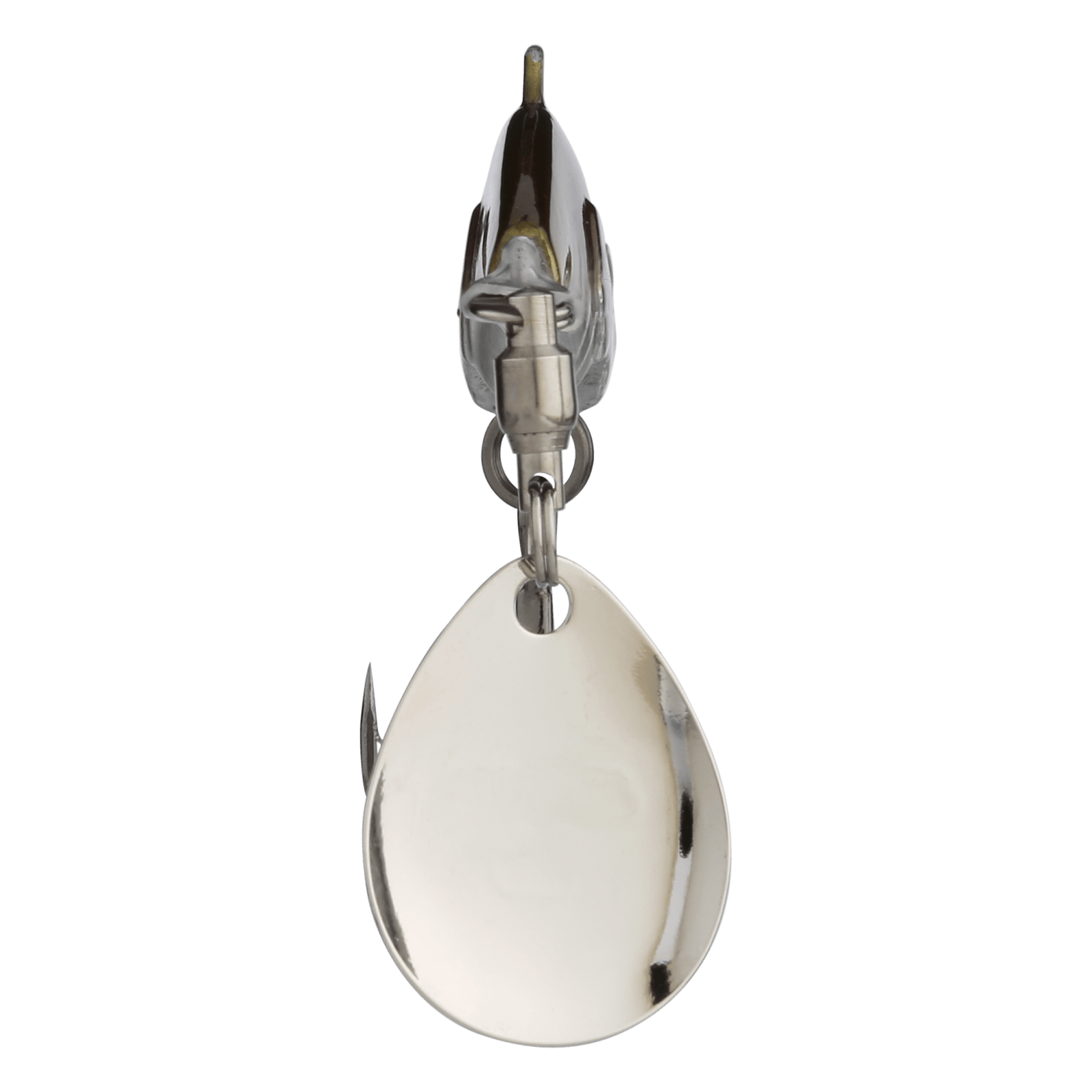 back image of sku JDERA38-CLW