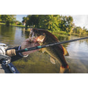 tip image of sku 12636-01