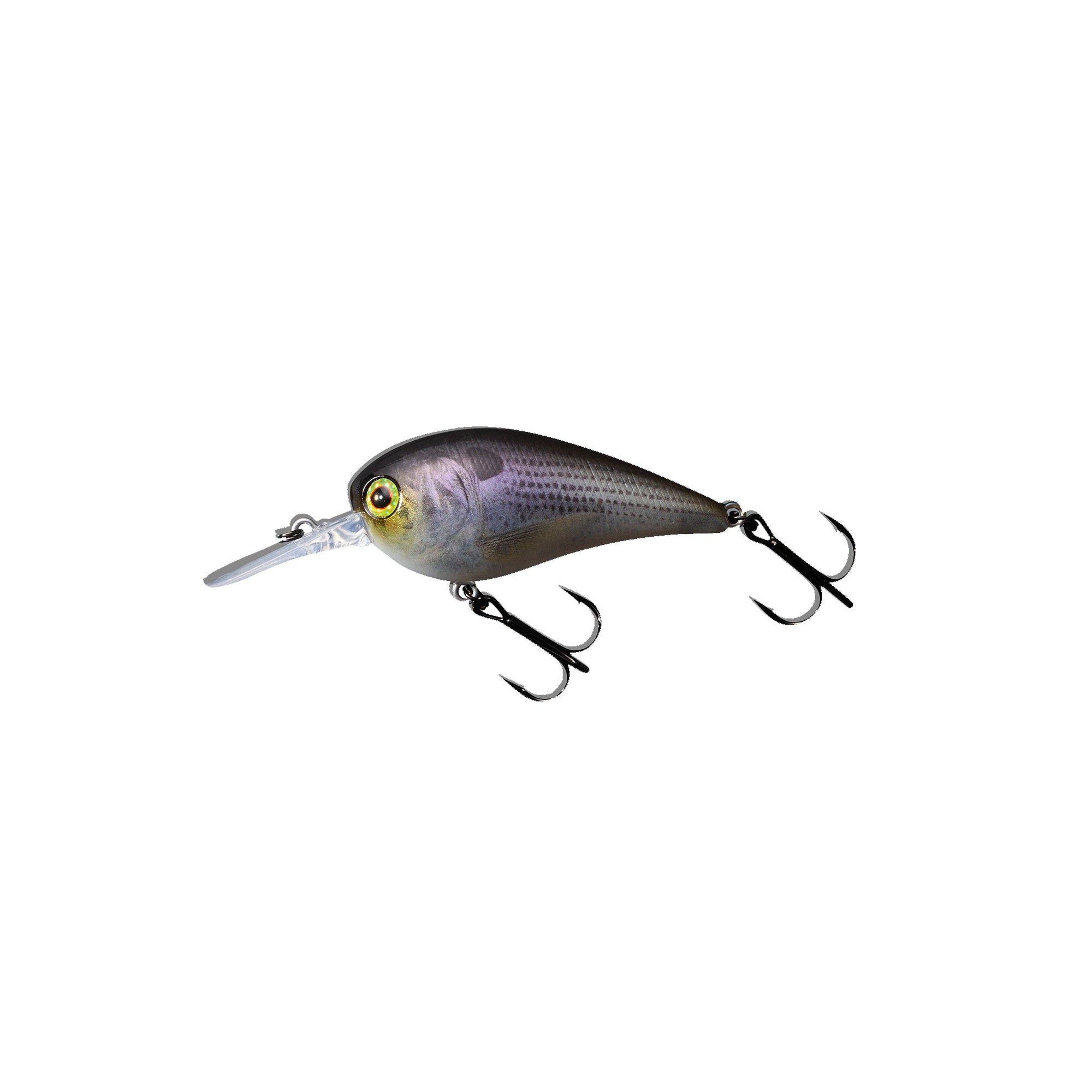 Jackall - MC 60 MR – Shimano North America Fishing