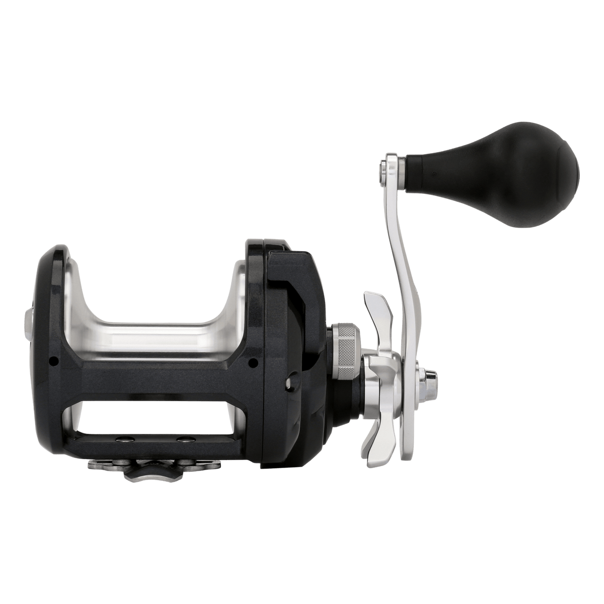 Shimano - TORIUM – Shimano North America Fishing