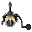 primary image of sku STLSW6000XGD