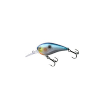 SPARKLE SS SHAD