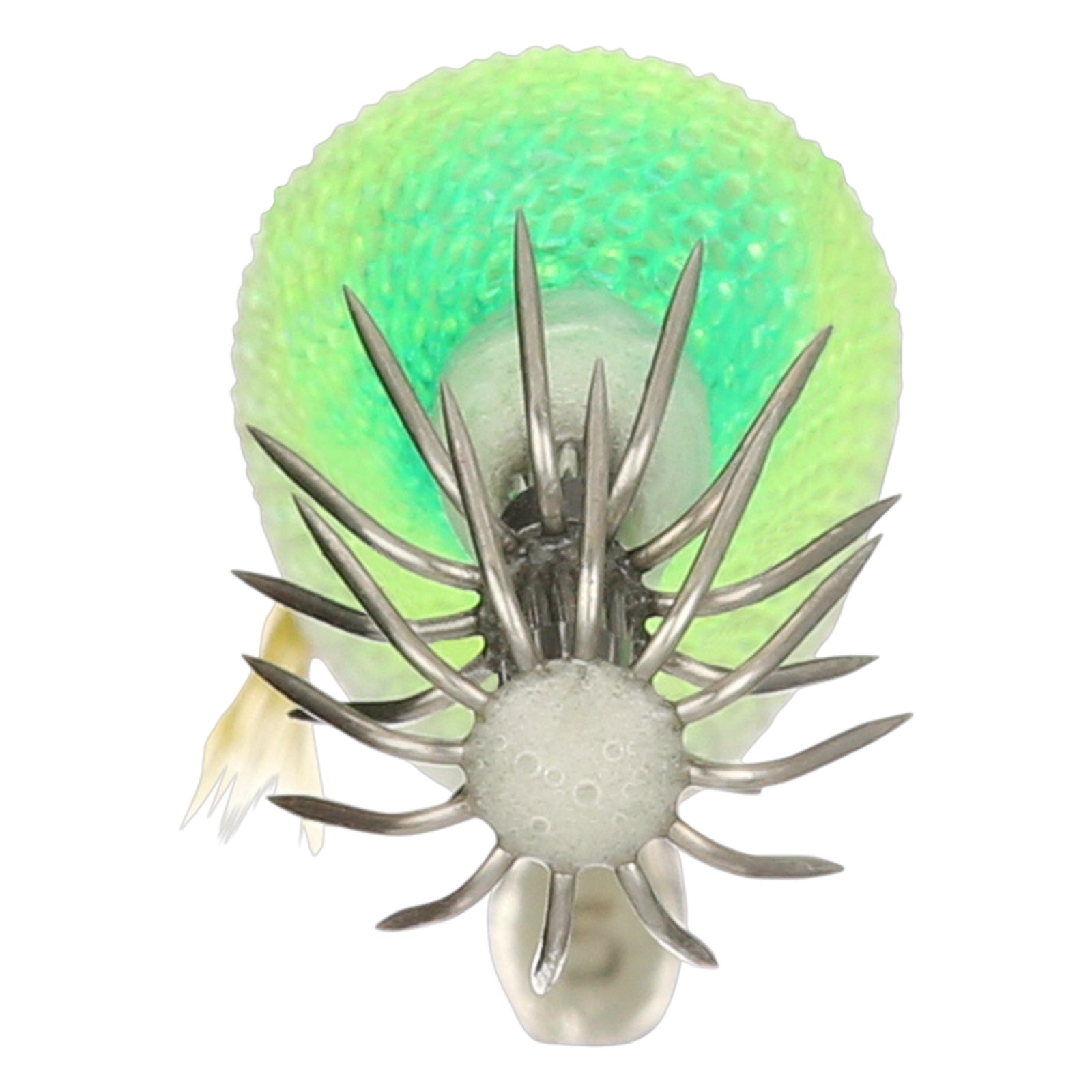 SEPHIA CLINCH FLASH BOOST