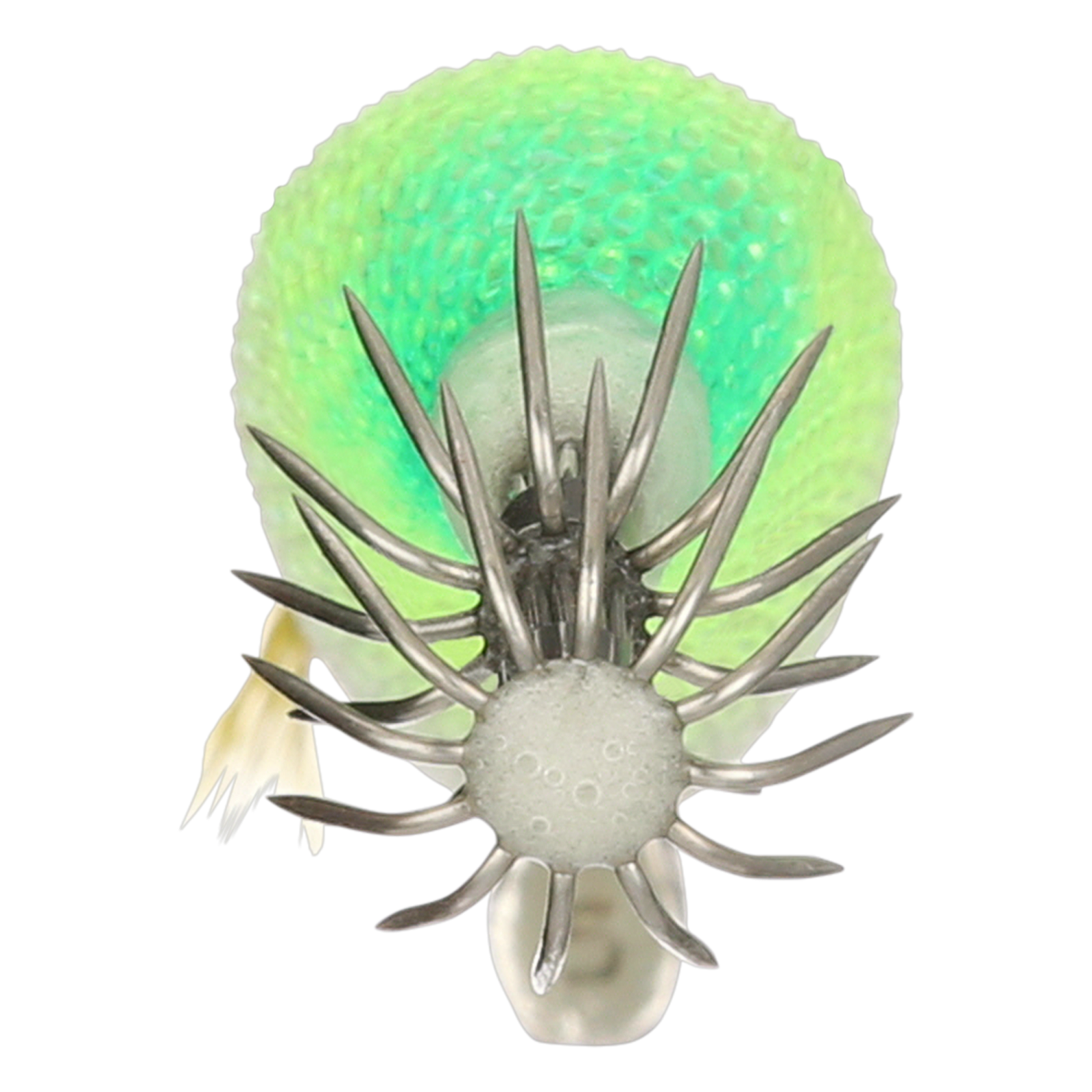 back image of sku SEPCL25FBFBC