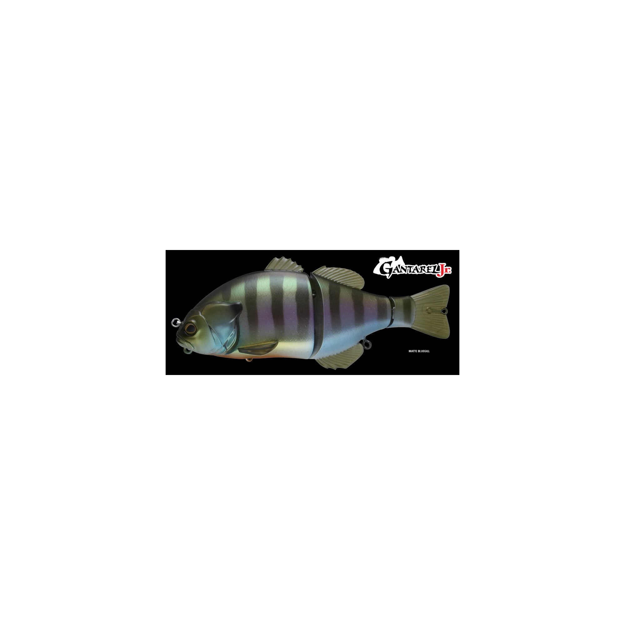 Jackall - GANTAREL JR. – Shimano North America Fishing