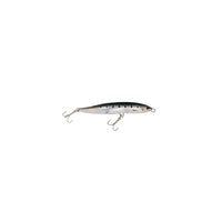 BLUE SARDINE