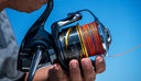 image of product STELLA SW D