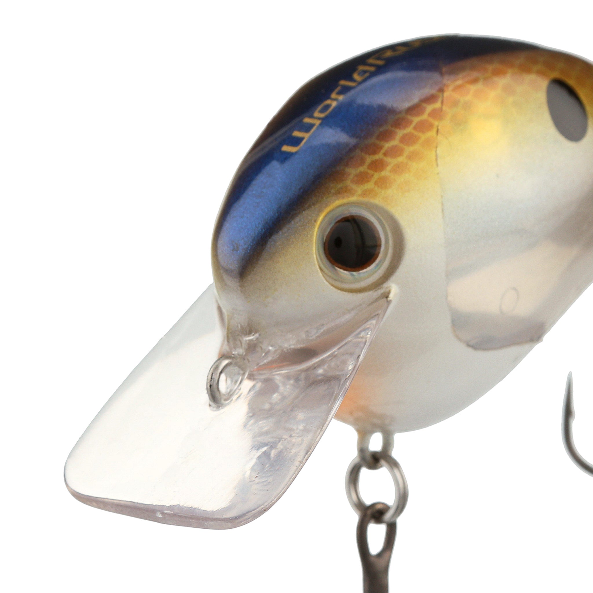 WORLD RUSH FLASH BOOST – Shimano US Fish Shop