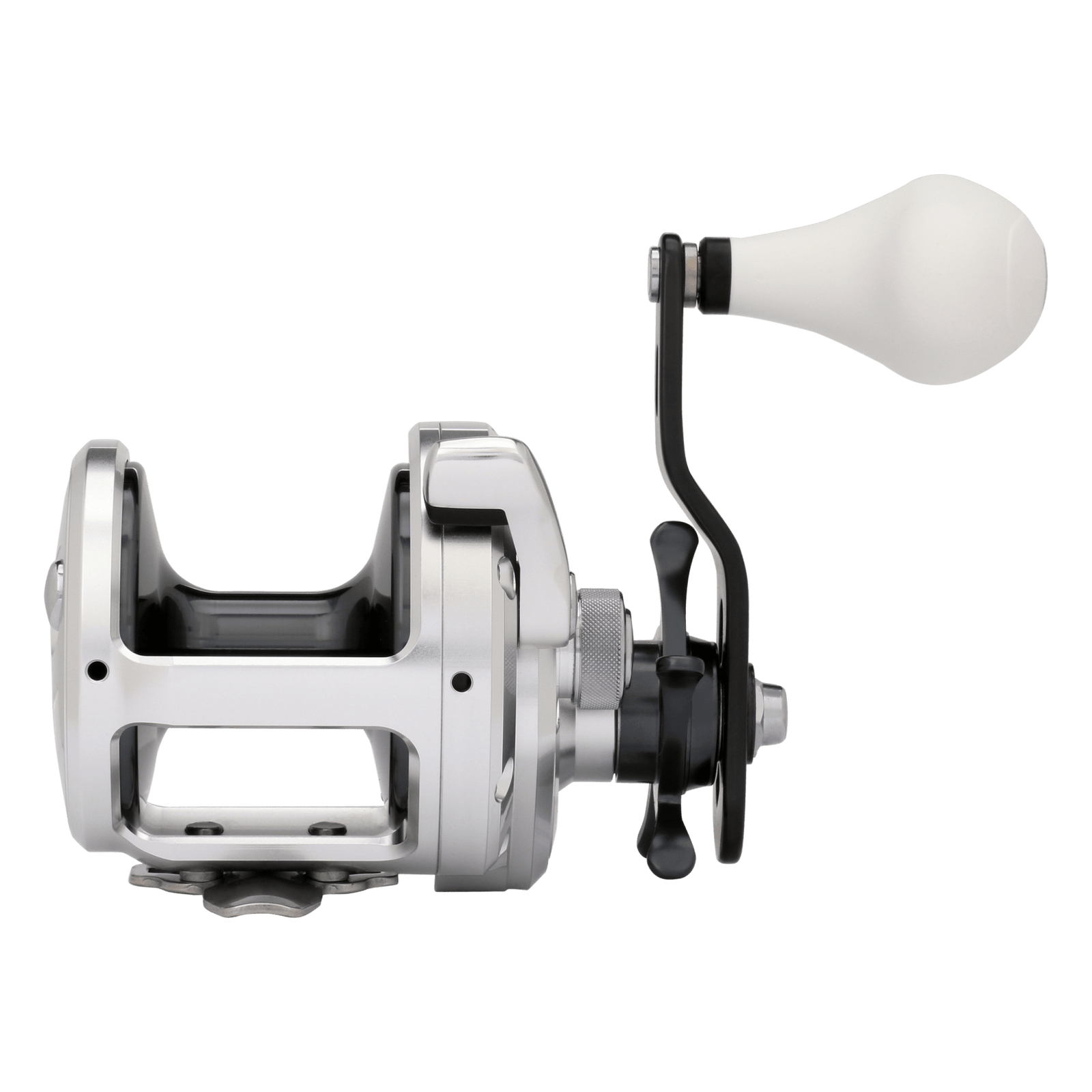 back image of sku TN20A