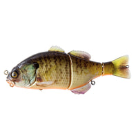 RT BLUEGILL