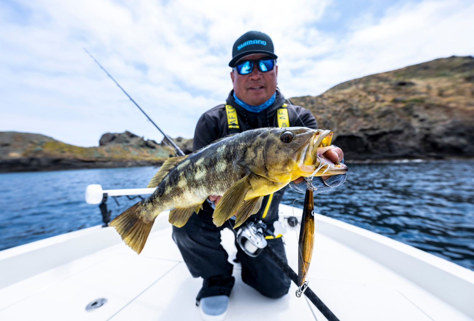 image of product TRANX 500