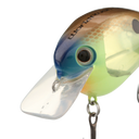 back image of sku WR56FBBS