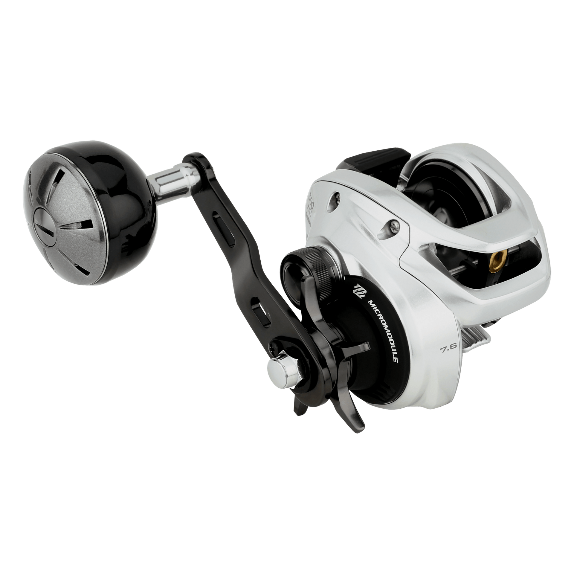 Shimano - TRANX 300 B – Shimano North America Fishing