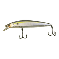 SG THREADFIN SHAD