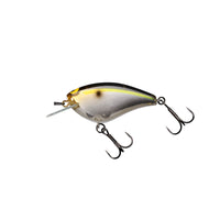 SG THREADFIN SHAD