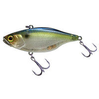 SG THREADFIN SHAD