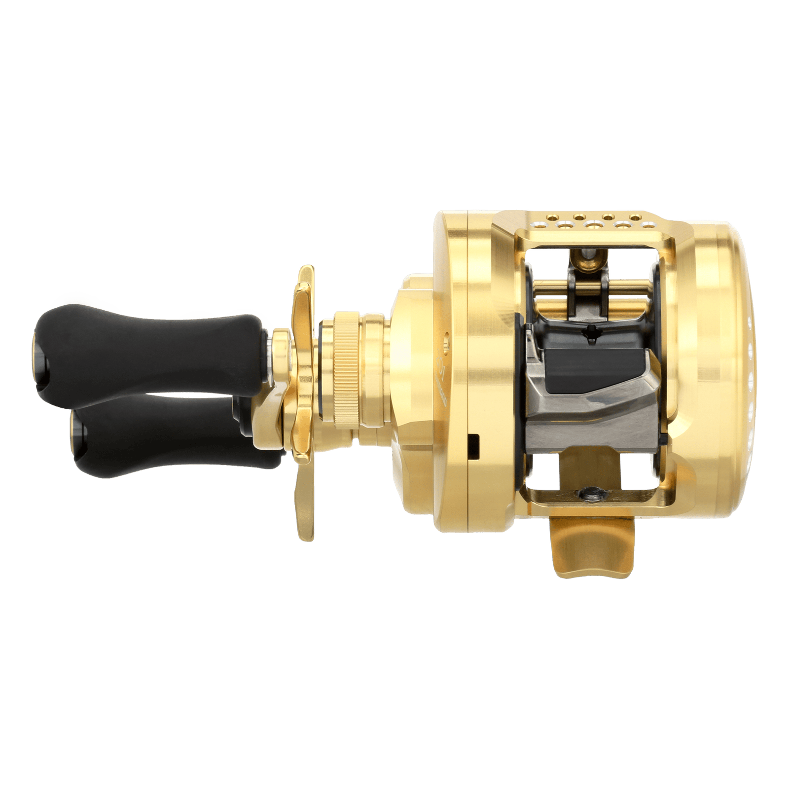 back image of sku CTCNQ201A