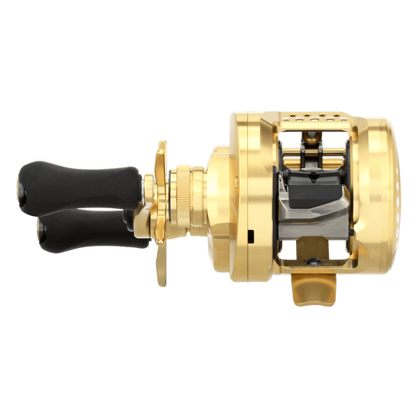 back image of sku CTCNQ201A