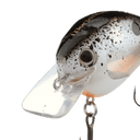 back image of sku WR56FBBS