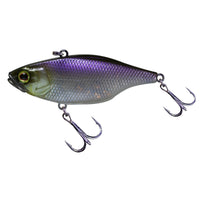 GHOST MINNOW