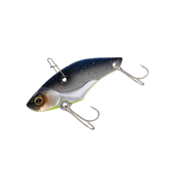 CLEAR SHAD