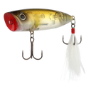 back image of sku WP69FLGA