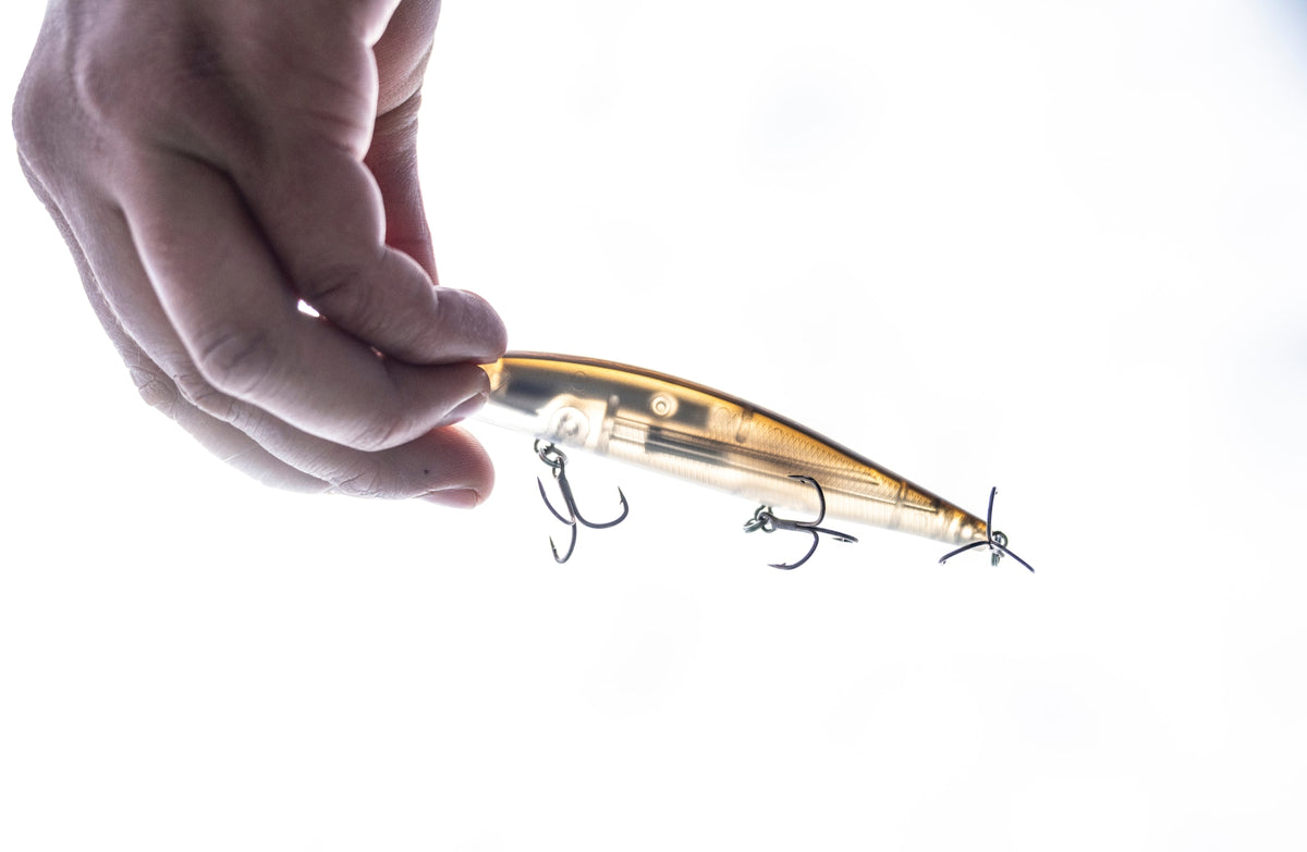[lifestyle] image of product WORLD MINNOW FLASH BOOST