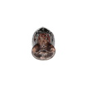 threequarter_2 image of sku JDRFRY4-GW