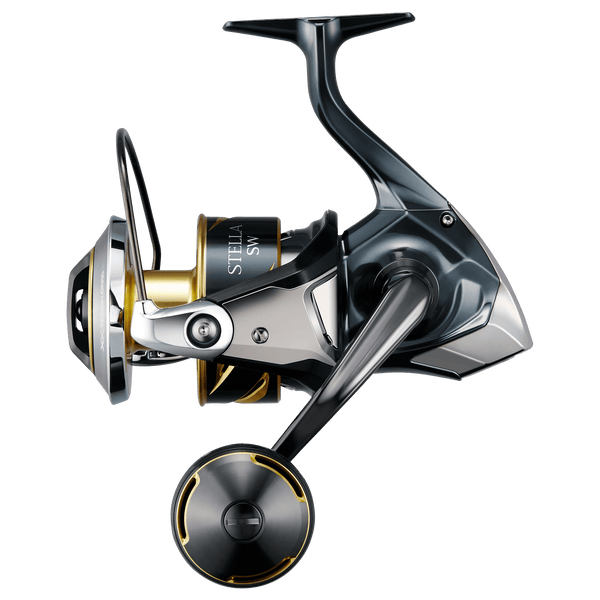 primary image of sku STLSW10000PGD