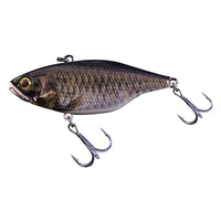RT SCALE MINNOW