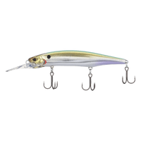 SEXY SHAD