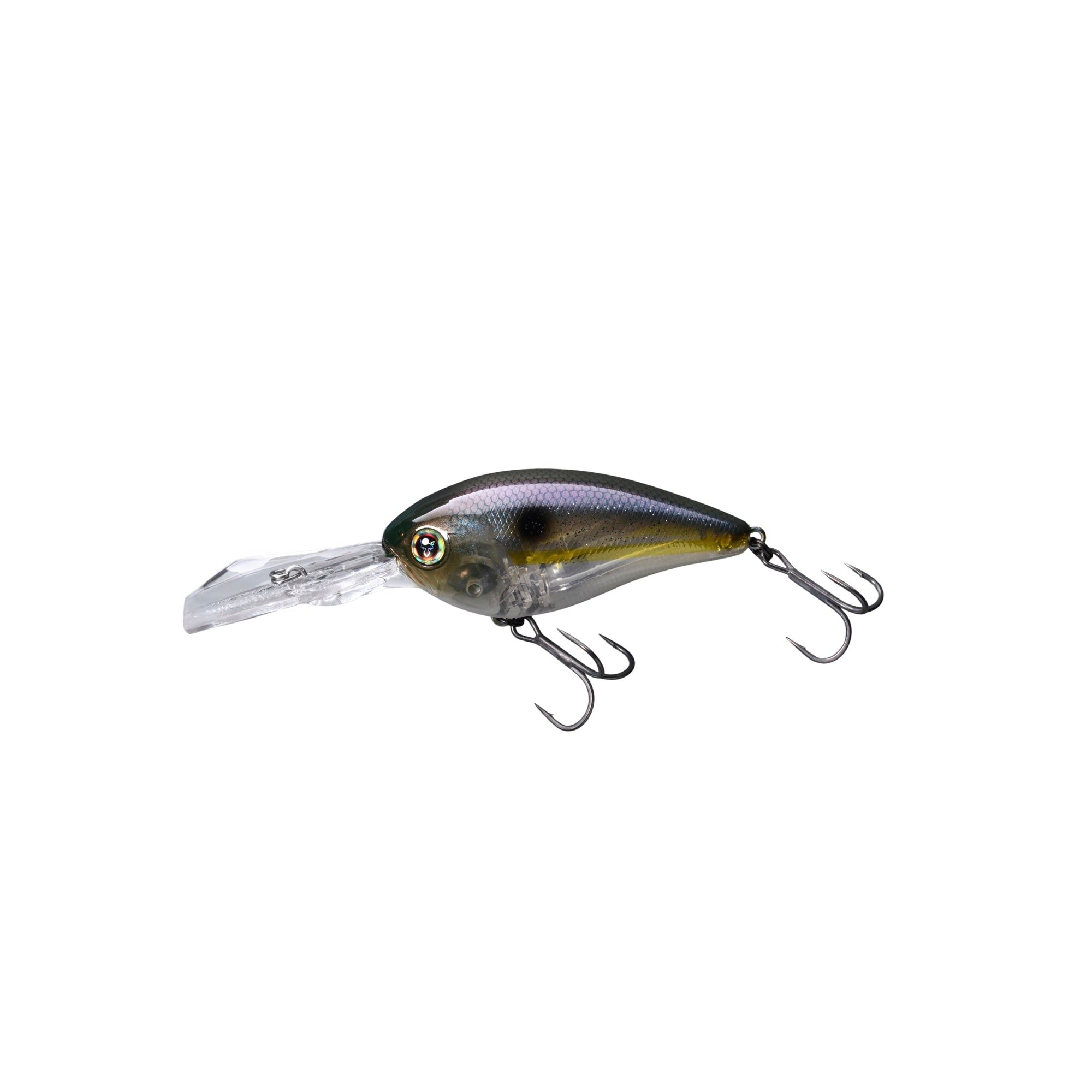 カーディナルとビッグトロール Jackall - DIGLE – Shimano North America Fishing