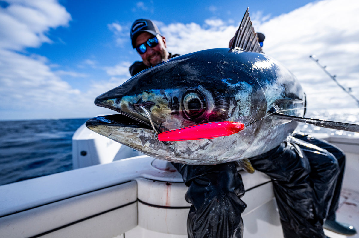 [lifestyle] image of product LEDGE RUNNER 200S