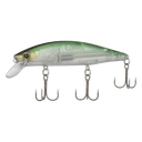 image of product WORLD MINNOW FLASH BOOST