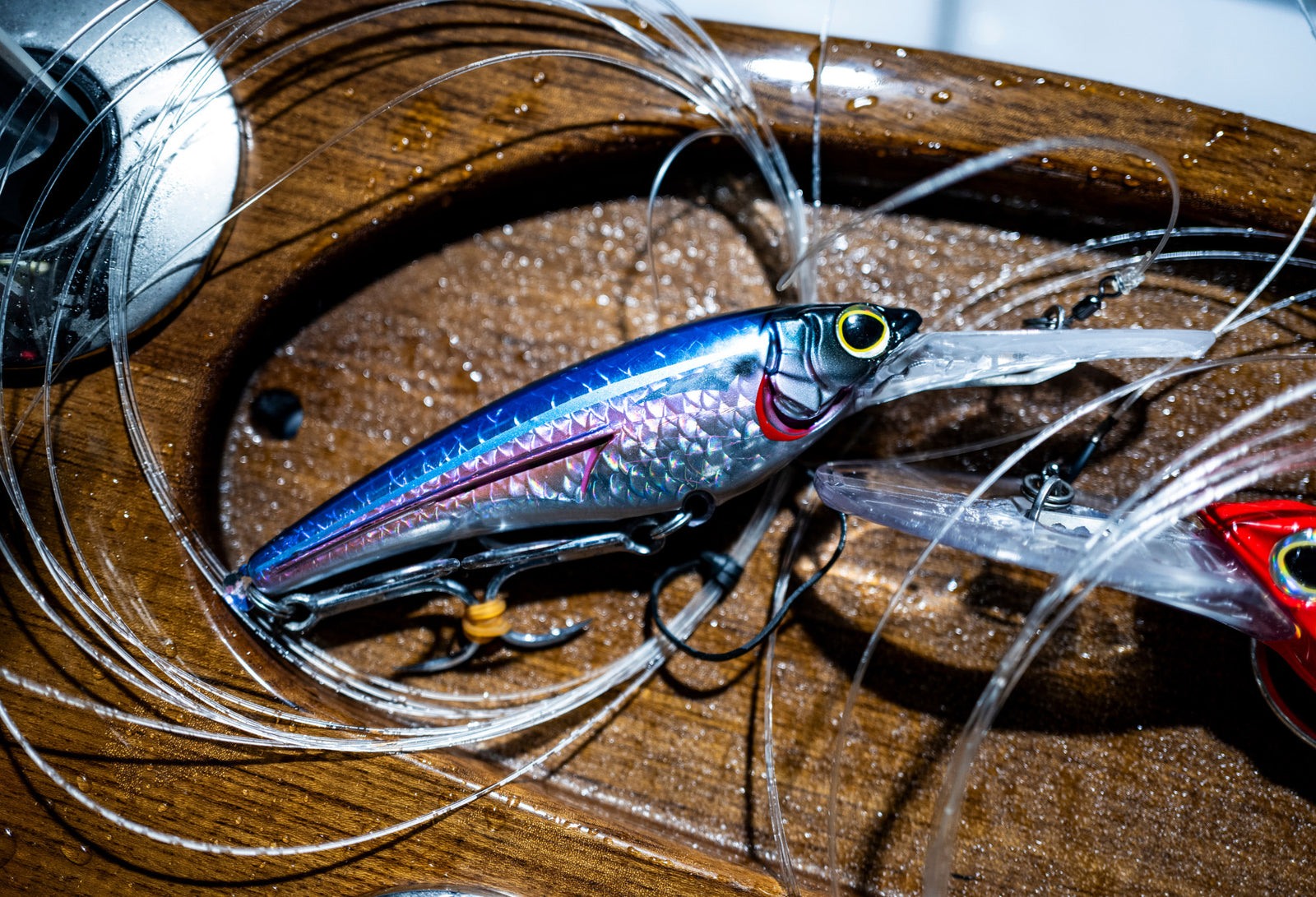 image of product LEDGE RUNNER 160F