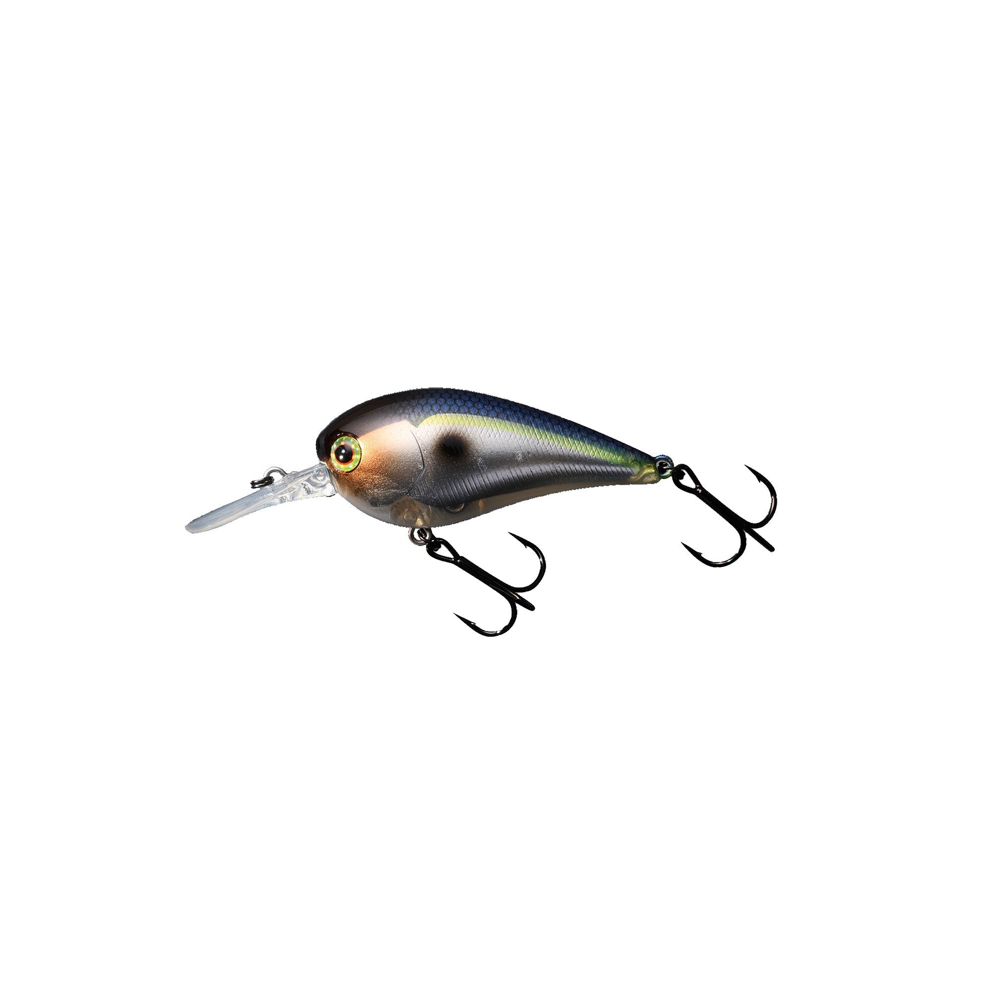 Jackall - MC 60 MR – Shimano North America Fishing